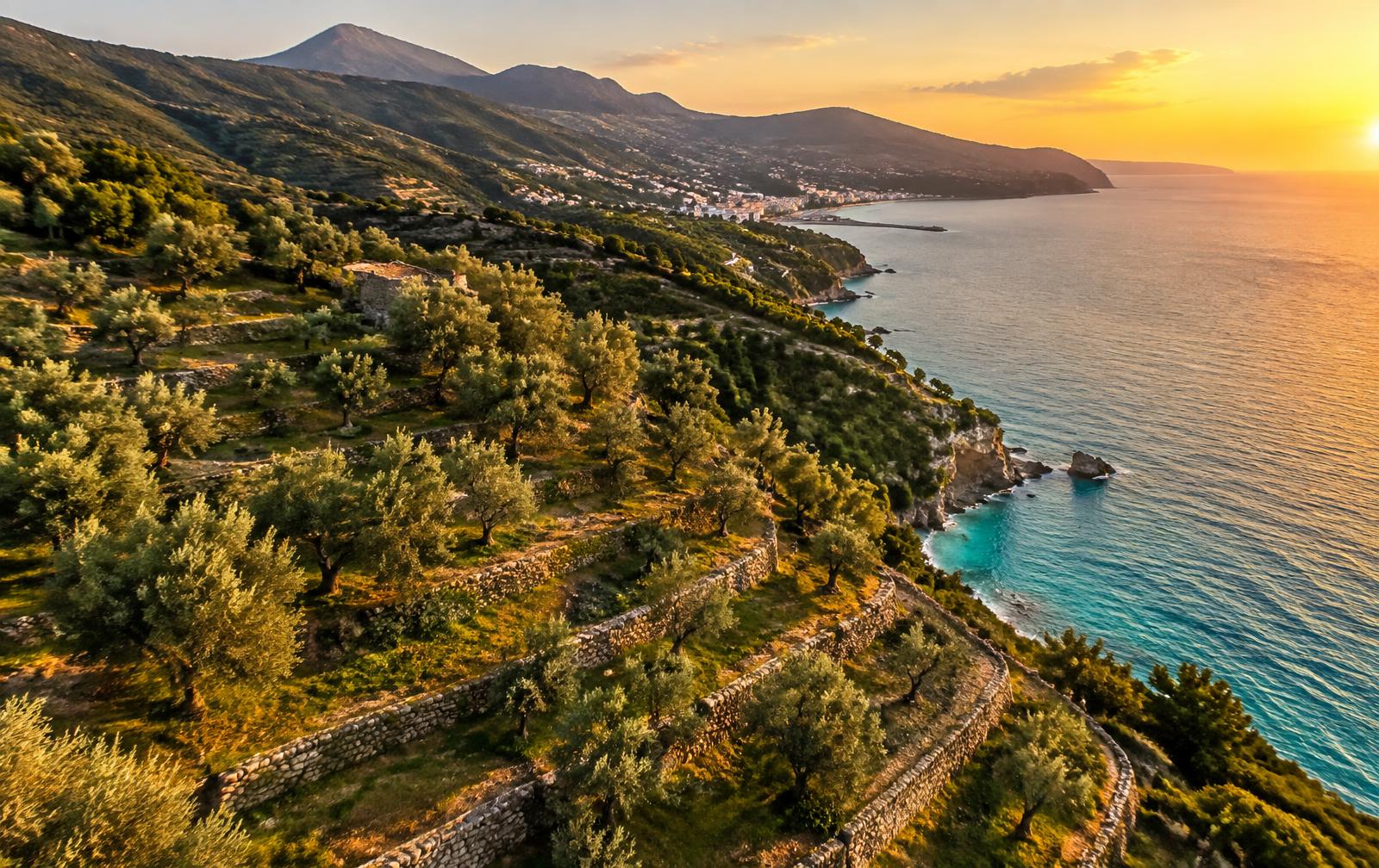Olive terraces above the Ionian coast of Himara